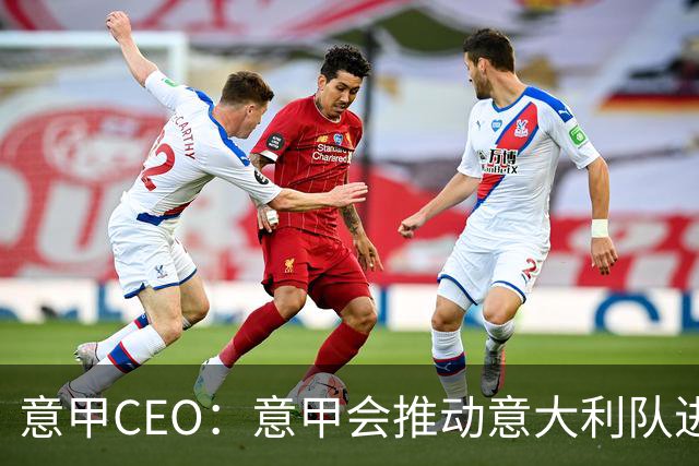 意甲CEO：意甲会推动意大利队进步 国家队低迷原因得追溯到20年前