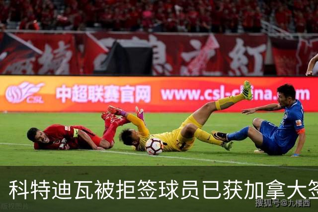 科特迪瓦被拒签球员已获加拿大签证 有望登场出战德国